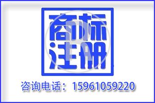 泰州代理商标注册机构指南 商标注册申请书填写要求与平面设计注意事项