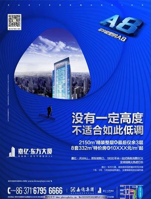 地产广告发布策略与要点